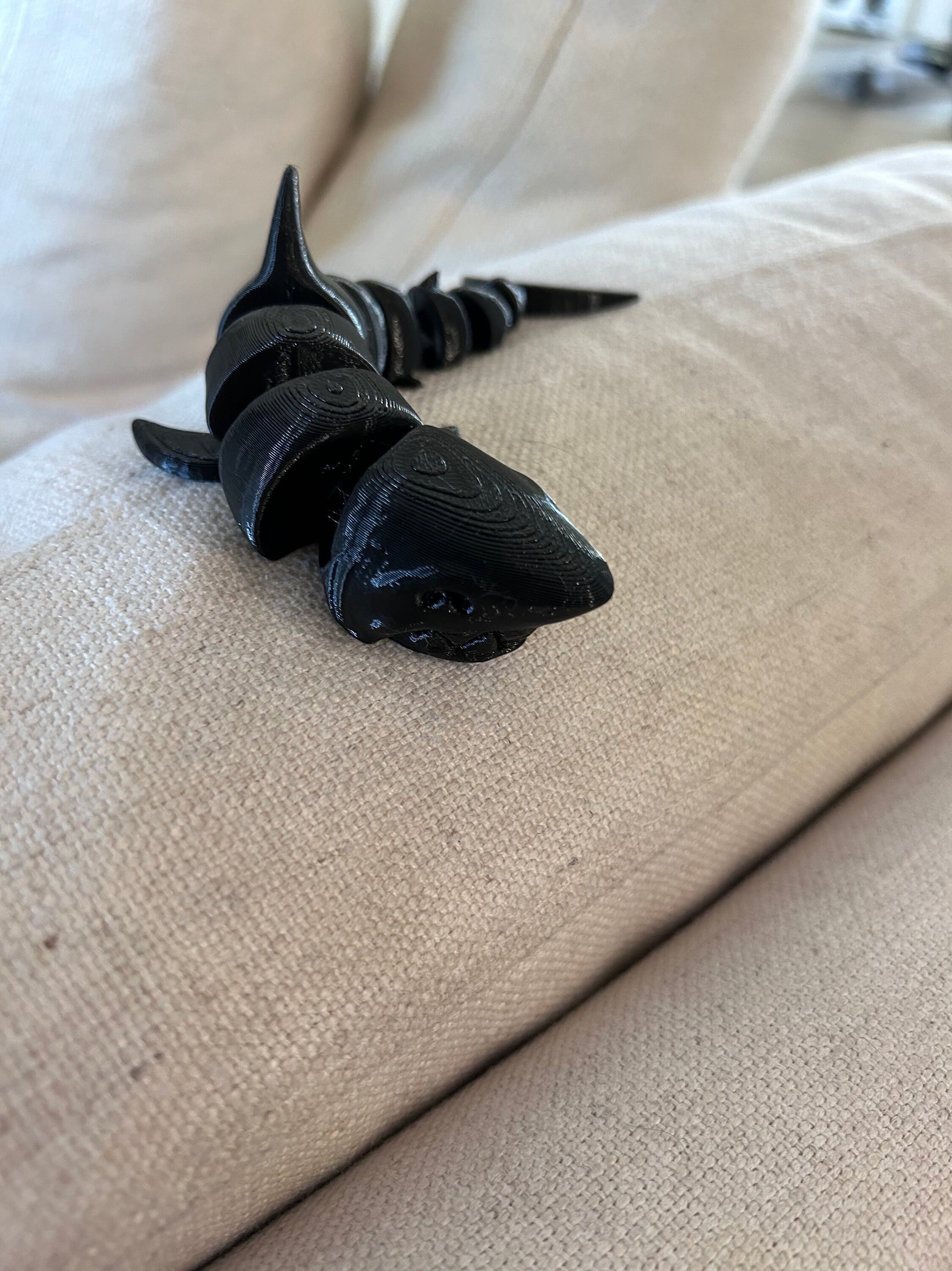 3d shark