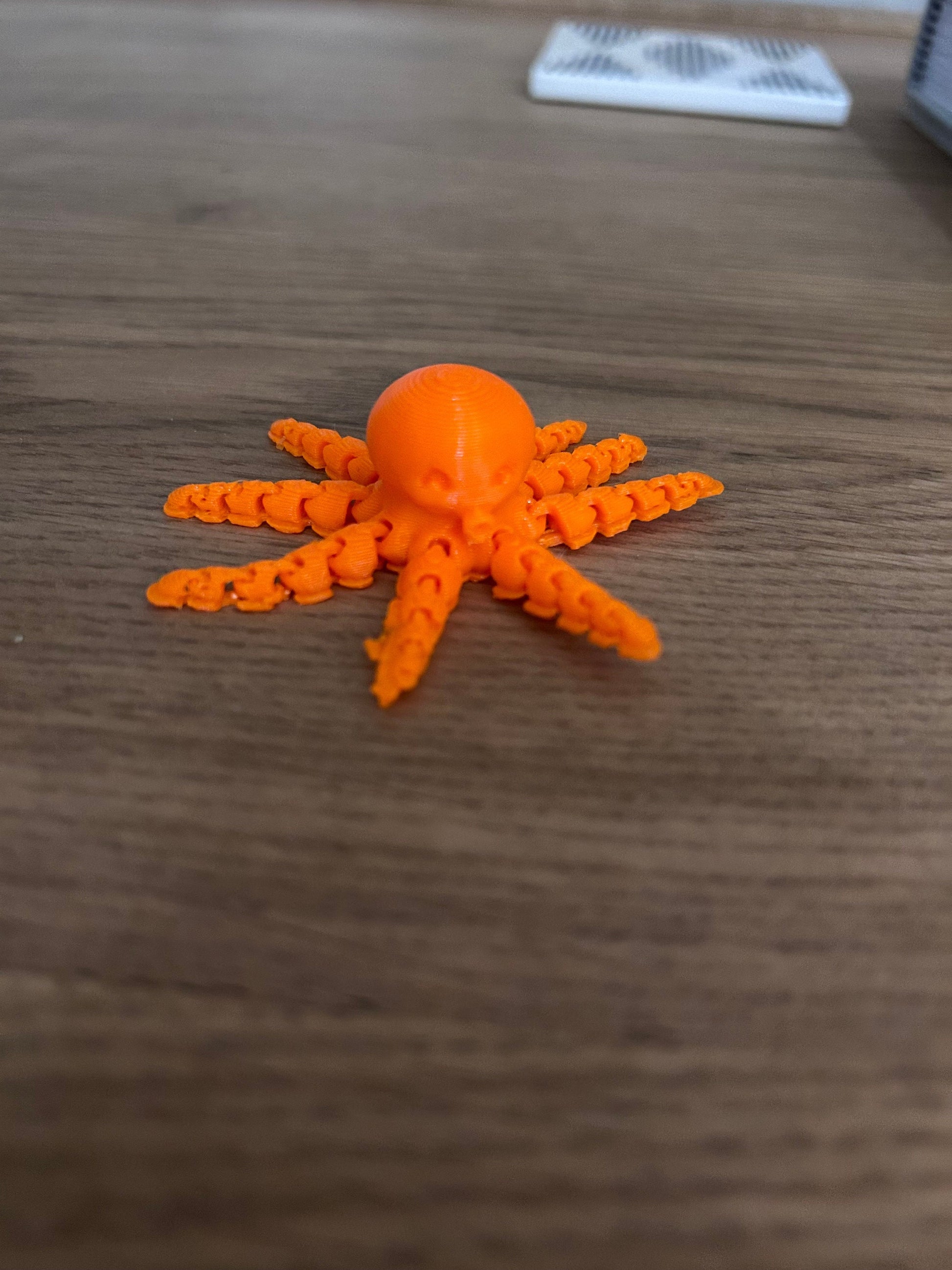 3D Octopus